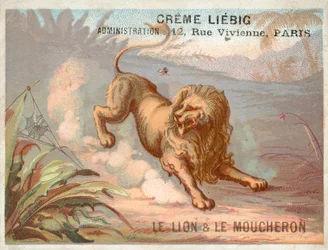 Le Lion et le Moustique